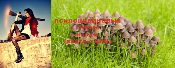 каннабис Козловка