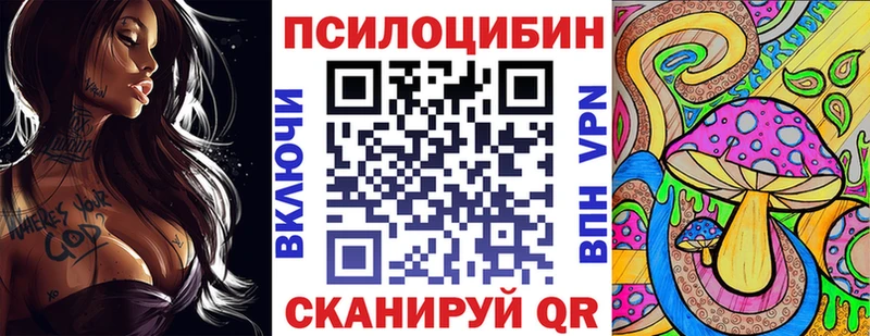 Псилоцибиновые грибы Psilocybe Купить где Камызяк